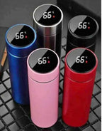 Temprature Water Bottle